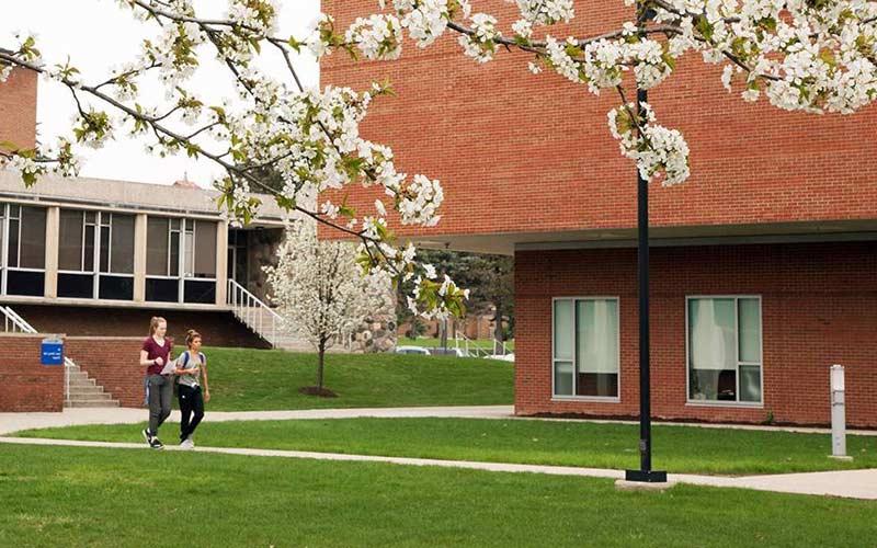 Two students walking around campus